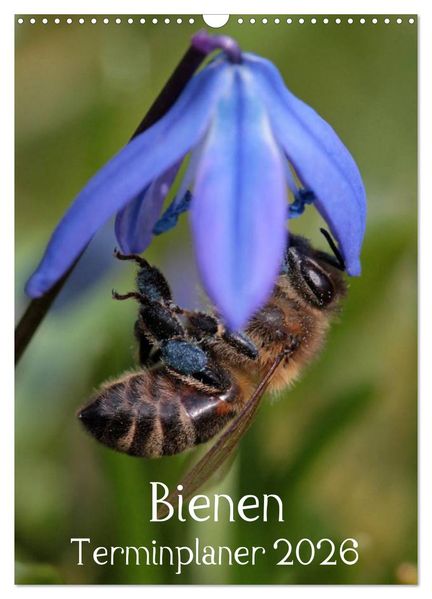 Bienen-Terminplaner 2026 (Wandkalender 2026 DIN A3 hoch) CALVENDO Monatskalender