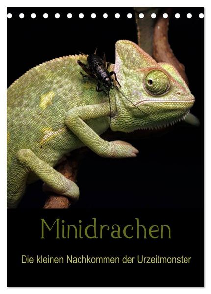 Minidrachen - Die kleinen Nachkommen der Urzeitmonster (Tischkalender 2026 DIN A5 hoch) CALVENDO Monatskalender