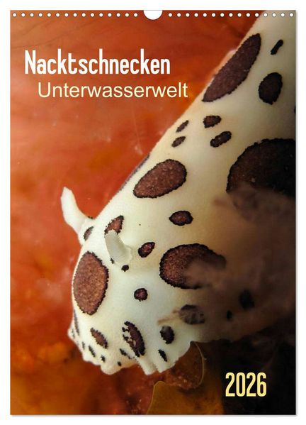 Nacktschnecken - Unterwasserwelt 2026 (Wandkalender 2026 DIN A3 hoch) CALVENDO Monatskalender