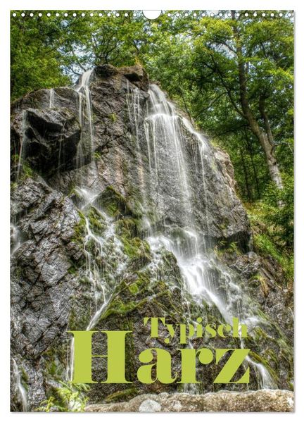 Typisch Harz (Wandkalender 2026 DIN A3 hoch) CALVENDO Monatskalender