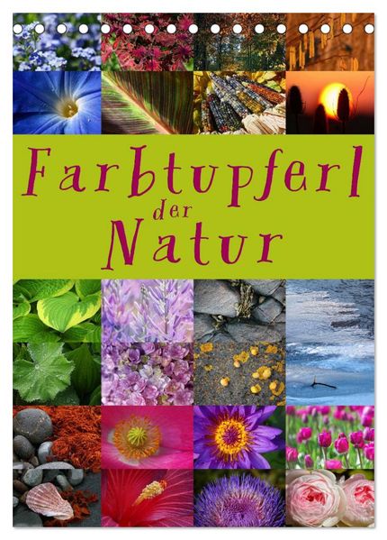Farbtupferl der Natur (Tischkalender 2026 DIN A5 hoch) CALVENDO Monatskalender