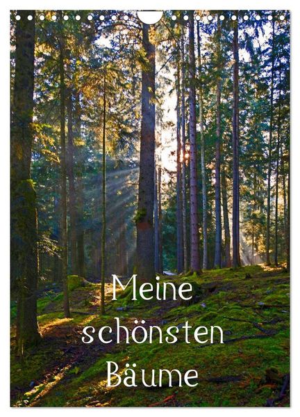Meine schönsten Bäume (Wandkalender 2026 DIN A4 hoch) CALVENDO Monatskalender