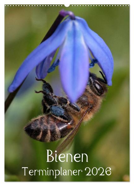 Bienen-Terminplaner 2026 (Wandkalender 2026 DIN A2 hoch) CALVENDO Monatskalender