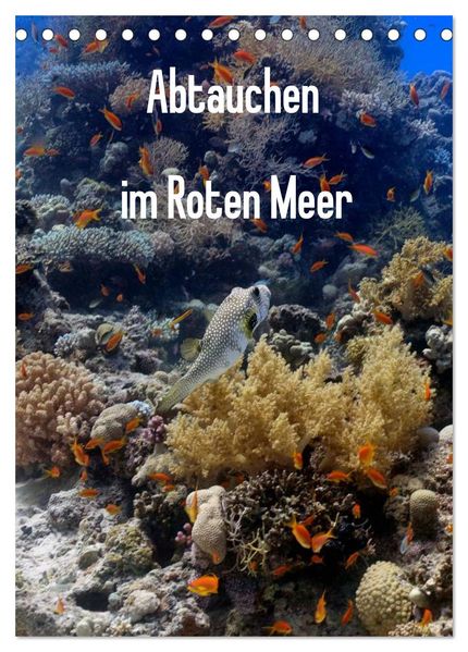 Abtauchen im Roten Meer (Tischkalender 2026 DIN A5 hoch) CALVENDO Monatskalender