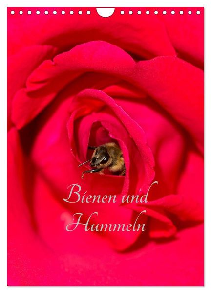 Bienen und Hummeln (Wandkalender 2026 DIN A4 hoch) CALVENDO Monatskalender