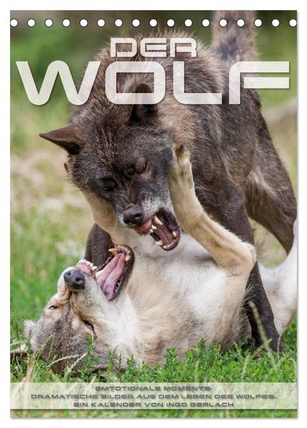 Emotionale Momente: Der Wolf. (Tischkalender 2026 DIN A5 hoch) CALVENDO Monatskalender