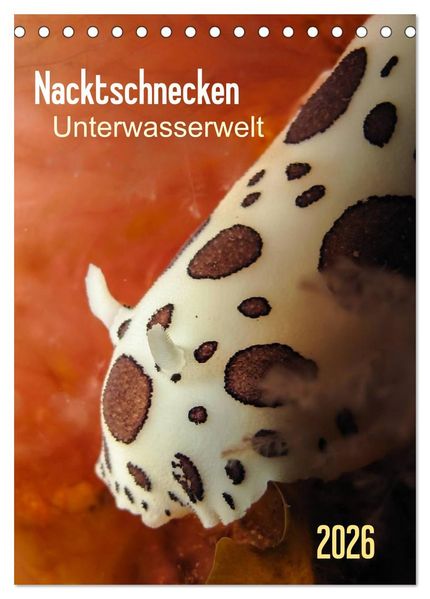 Nacktschnecken - Unterwasserwelt 2026 (Tischkalender 2026 DIN A5 hoch) CALVENDO Monatskalender