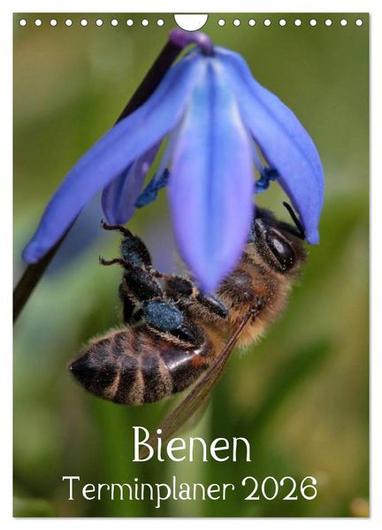 Bienen-Terminplaner 2026 (Wandkalender 2026 DIN A4 hoch) CALVENDO Monatskalender
