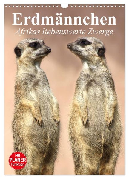 Erdmännchen - Afrikas liebenswerte Zwerge (Wandkalender 2026 DIN A3 hoch) CALVENDO Monatskalender