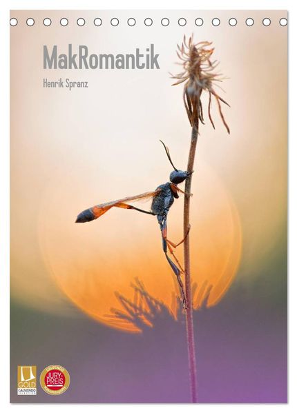MakRomantik (Tischkalender 2026 DIN A5 hoch) CALVENDO Monatskalender