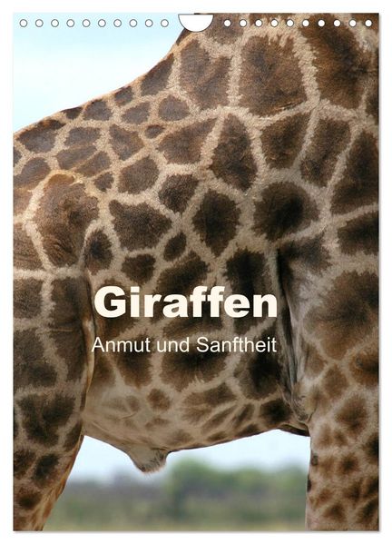Giraffen - Anmut und Sanftheit (Wandkalender 2026 DIN A4 hoch) CALVENDO Monatskalender
