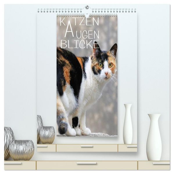 KATZEN AUGEN BLICKE (hochwertiger Premium Wandkalender 2026 DIN A2 hoch) Kunstdruck in Hochglanz