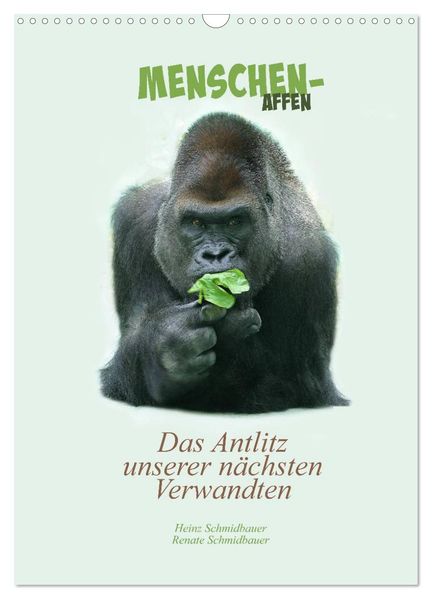 Menschenaffen - Das Antlitz unserer nächsten Verwandten (Wandkalender 2026 DIN A3 hoch) CALVENDO Monatskalender