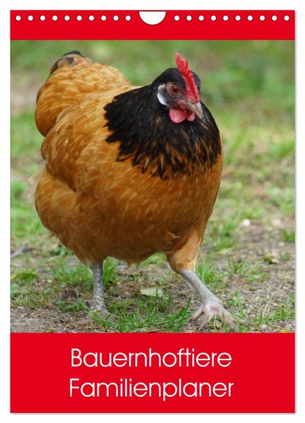 Bauernhoftiere Familienplaner (Wandkalender 2026 DIN A4 hoch) CALVENDO Monatskalender