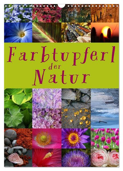 Farbtupferl der Natur (Wandkalender 2026 DIN A3 hoch) CALVENDO Monatskalender