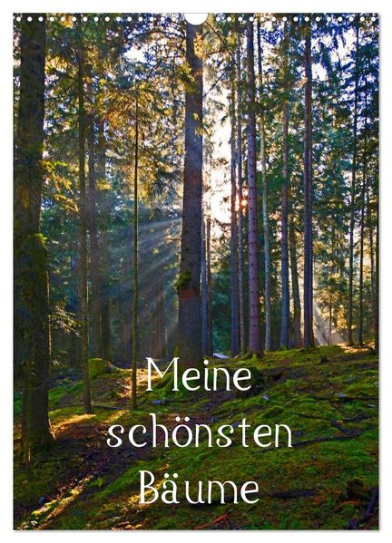 Meine schönsten Bäume (Wandkalender 2026 DIN A3 hoch) CALVENDO Monatskalender