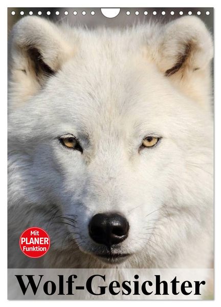 Wolf-Gesichter (Wandkalender 2026 DIN A4 hoch) CALVENDO Monatskalender