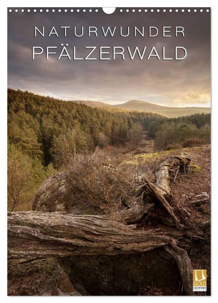 NATURWUNDER PFÄLZERWALD (Wandkalender 2026 DIN A3 hoch) CALVENDO Monatskalender