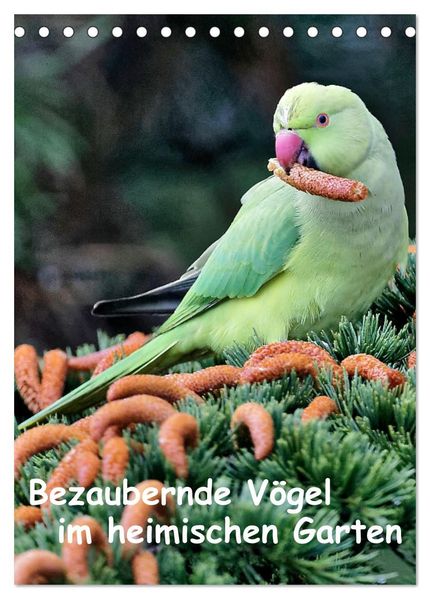 Bezaubernde Vögel im heimischen Garten (Tischkalender 2026 DIN A5 hoch) CALVENDO Monatskalender