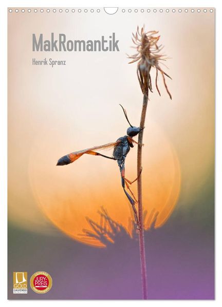 MakRomantik (Wandkalender 2026 DIN A3 hoch) CALVENDO Monatskalender