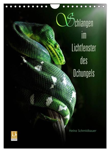 Schlangen im Lichtfenster des Dschungels (Wandkalender 2026 DIN A4 hoch) CALVENDO Monatskalender