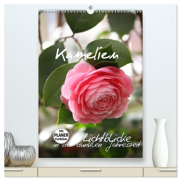 Kamelien Lichtblicke in der dunklen Jahreszeit (hochwertiger Premium Wandkalender 2026 DIN A2 hoch) Kunstdruck in Hochglanz