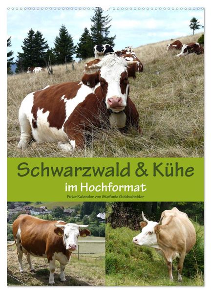 Schwarzwald und Kühe im Hochformat (Wandkalender 2026 DIN A2 hoch) CALVENDO Monatskalender