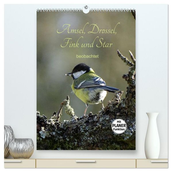 Amsel Drossel Fink und Star - beobachtet (hochwertiger Premium Wandkalender 2026 DIN A2 hoch) Kunstdruck in Hochglanz