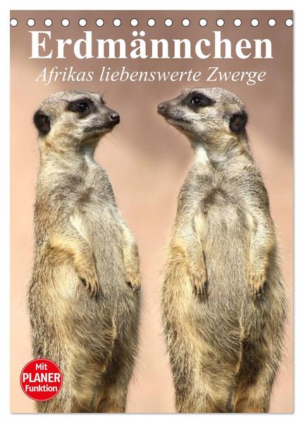 Erdmännchen - Afrikas liebenswerte Zwerge (Tischkalender 2026 DIN A5 hoch) CALVENDO Monatskalender