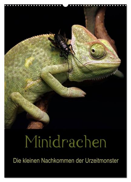 Minidrachen - Die kleinen Nachkommen der Urzeitmonster (Wandkalender 2026 DIN A2 hoch) CALVENDO Monatskalender