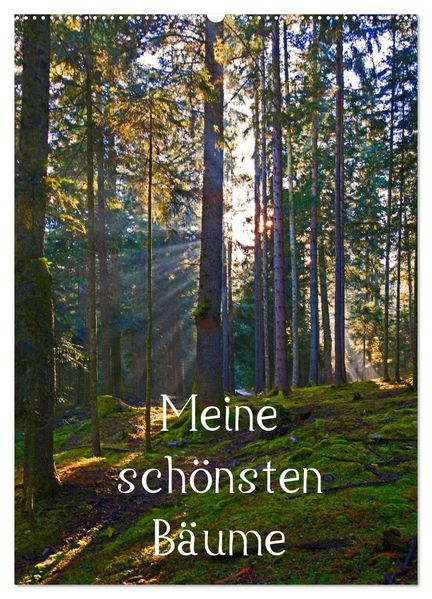 Meine schönsten Bäume (Wandkalender 2026 DIN A2 hoch) CALVENDO Monatskalender