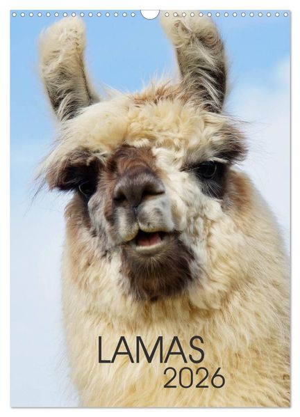 LAMAS (Wandkalender 2026 DIN A3 hoch) CALVENDO Monatskalender
