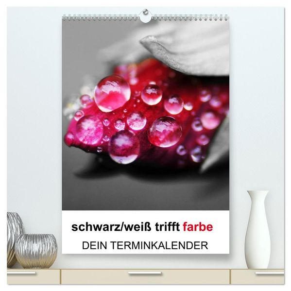 schwarz/weiß trifft farbe - DEIN TERMINKALENDER / Planer (hochwertiger Premium Wandkalender 2026 DIN A2 hoch) Kunstdruck in Hochglanz
