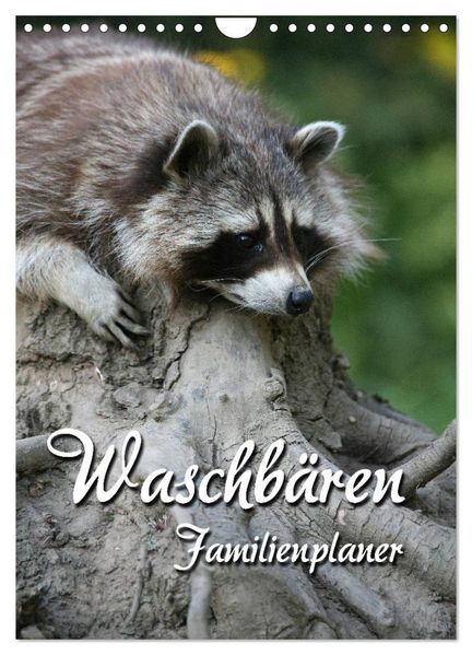 Waschbären Familienplaner (Wandkalender 2026 DIN A4 hoch) CALVENDO Monatskalender