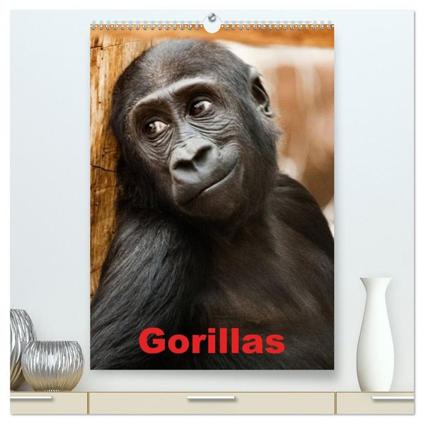 Gorillas (hochwertiger Premium Wandkalender 2026 DIN A2 hoch) Kunstdruck in Hochglanz