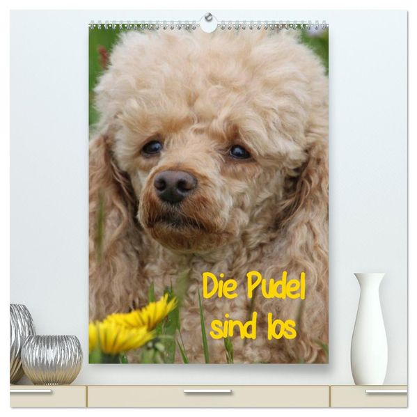Die Pudel sind los (hochwertiger Premium Wandkalender 2026 DIN A2 hoch) Kunstdruck in Hochglanz
