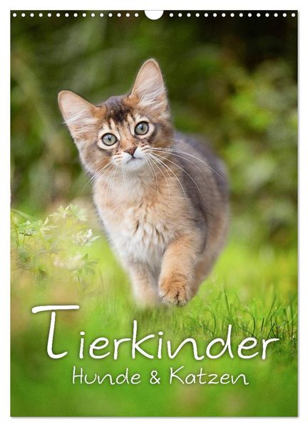 Tierkinder Hunde und Katzen (Wandkalender 2026 DIN A3 hoch) CALVENDO Monatskalender