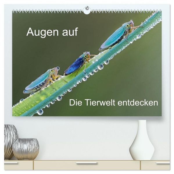 Augen auf - versteckte Tierwelt (hochwertiger Premium Wandkalender 2026 DIN A2 quer) Kunstdruck in Hochglanz