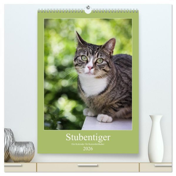 Stubentiger (hochwertiger Premium Wandkalender 2026 DIN A2 hoch) Kunstdruck in Hochglanz