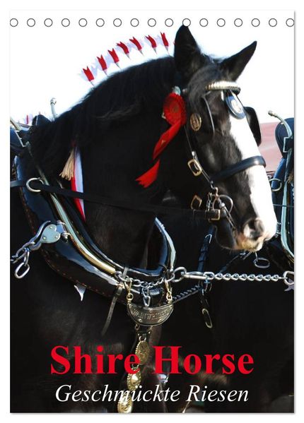 Shire Horse - Geschmückte Riesen (Tischkalender 2026 DIN A5 hoch) CALVENDO Monatskalender