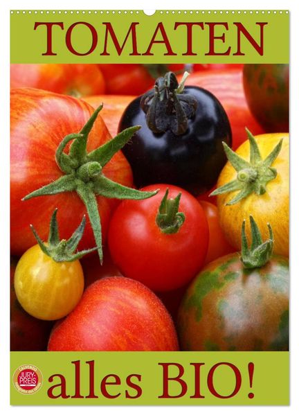 Tomaten - Alles BIO! (Wandkalender 2026 DIN A2 hoch) CALVENDO Monatskalender