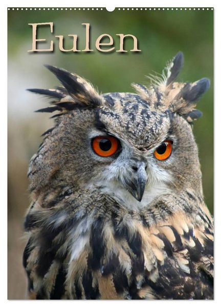 Eulen (Wandkalender 2026 DIN A2 hoch) CALVENDO Monatskalender