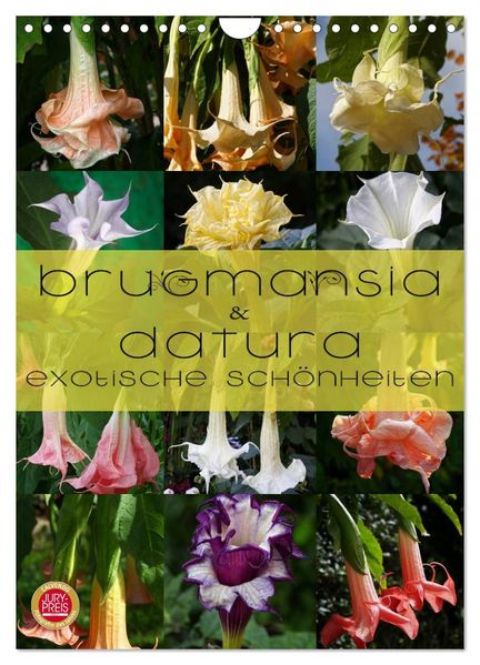 Brugmansia & Datura - Exotische Schönheiten (Wandkalender 2026 DIN A4 hoch) CALVENDO Monatskalender