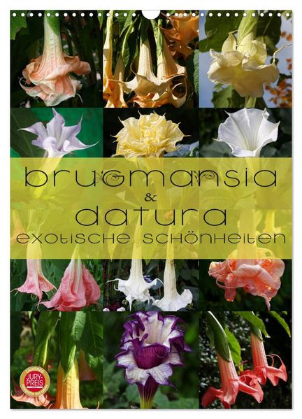 Brugmansia & Datura - Exotische Schönheiten (Wandkalender 2026 DIN A3 hoch) CALVENDO Monatskalender