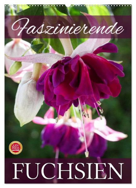 Faszinierende Fuchsien (Wandkalender 2026 DIN A2 hoch) CALVENDO Monatskalender