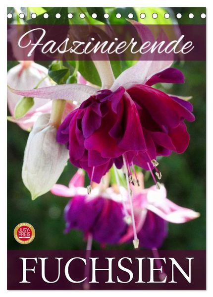 Faszinierende Fuchsien (Tischkalender 2026 DIN A5 hoch) CALVENDO Monatskalender