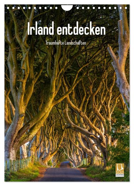 Irland entdecken (Wandkalender 2026 DIN A4 hoch) CALVENDO Monatskalender