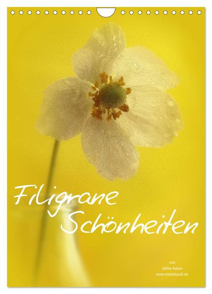 Filigrane Schönheiten 2026 (Wandkalender 2026 DIN A4 hoch) CALVENDO Monatskalender