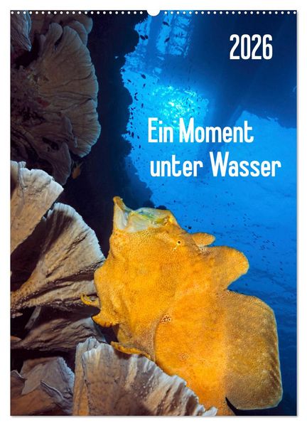 Ein Moment unter Wasser (Wandkalender 2026 DIN A2 hoch) CALVENDO Monatskalender