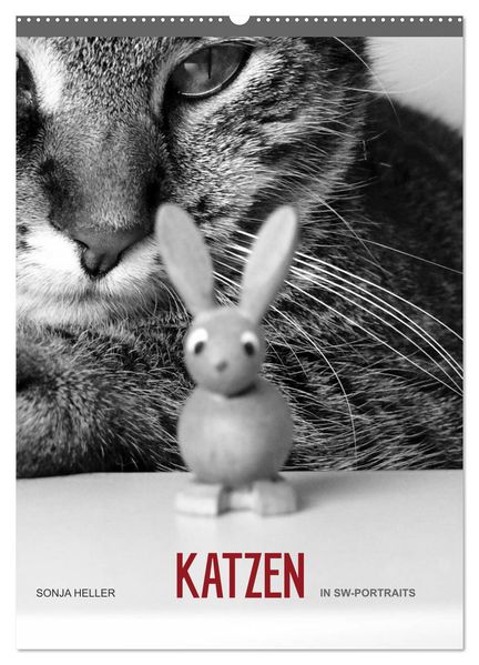 Sonja Heller Katzen in SW-Portraits (Wandkalender 2026 DIN A2 hoch) CALVENDO Monatskalender